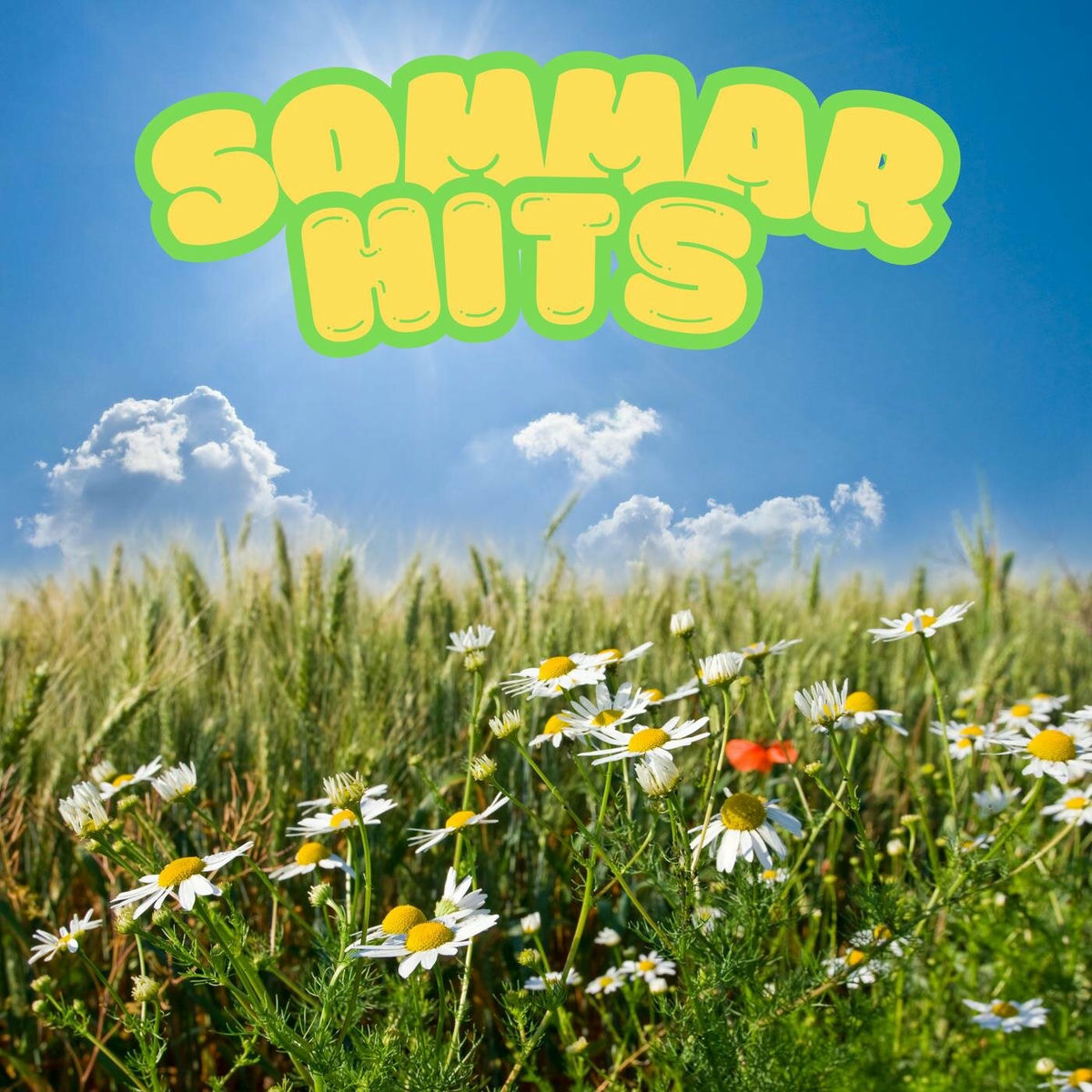 Album cover of Sommar Hits