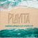 Playita