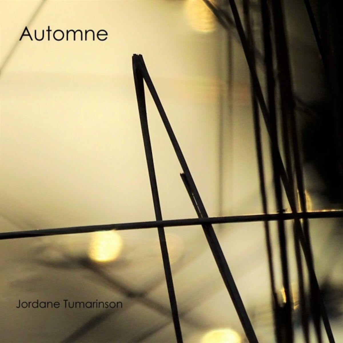 Album cover of Morphée