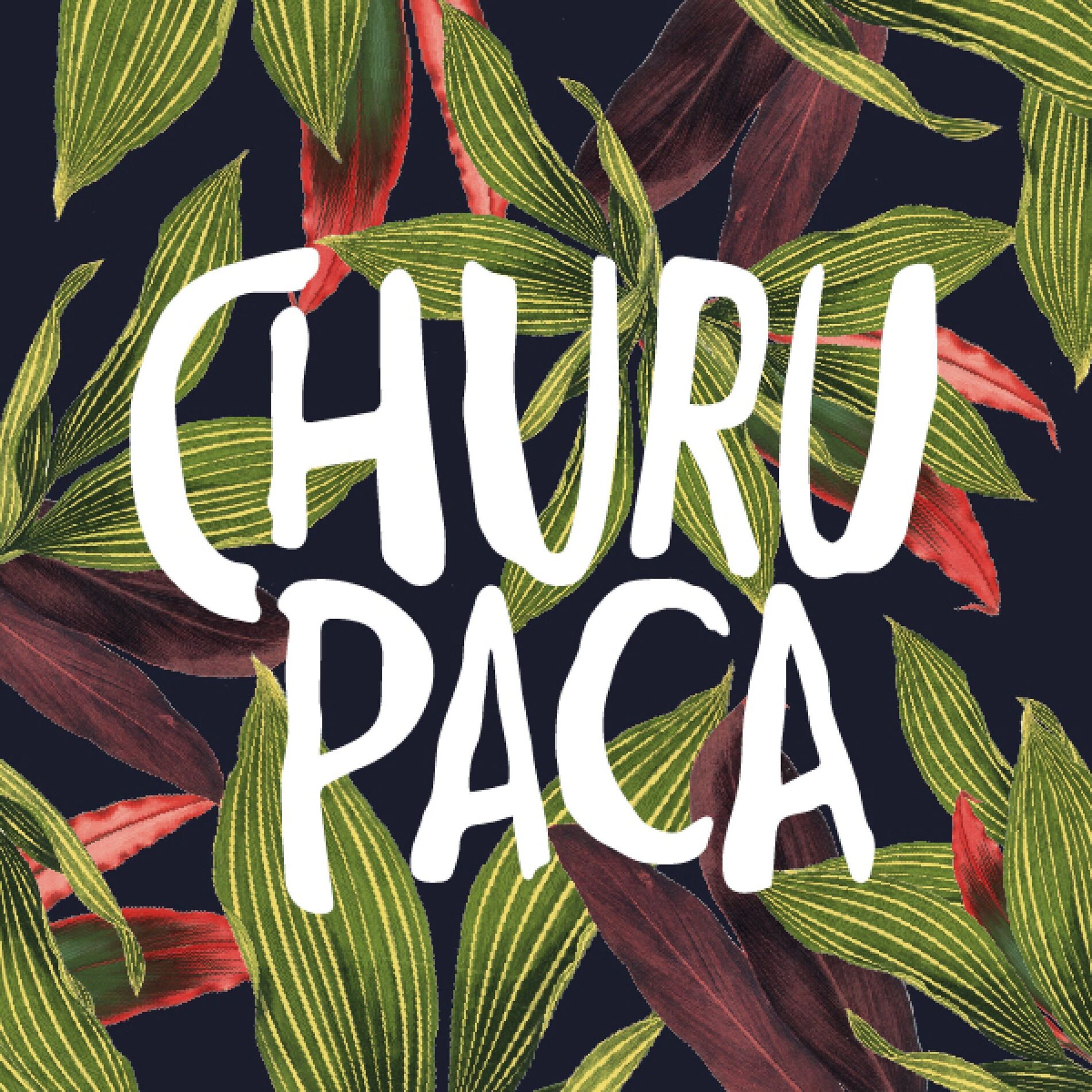 Album cover of Duda Morena