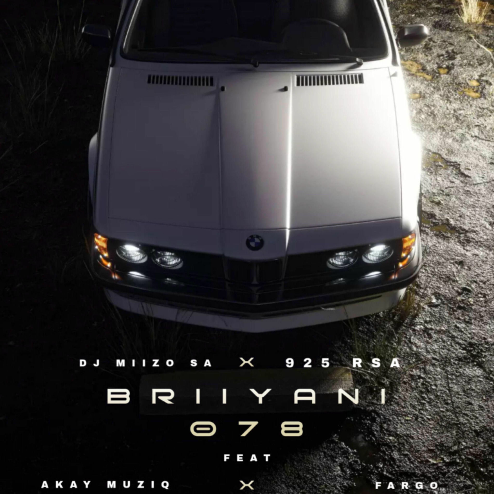 Album cover of Briyani 078 (feat. Djy Miizo SA, Akay MuziQ & Fargo)