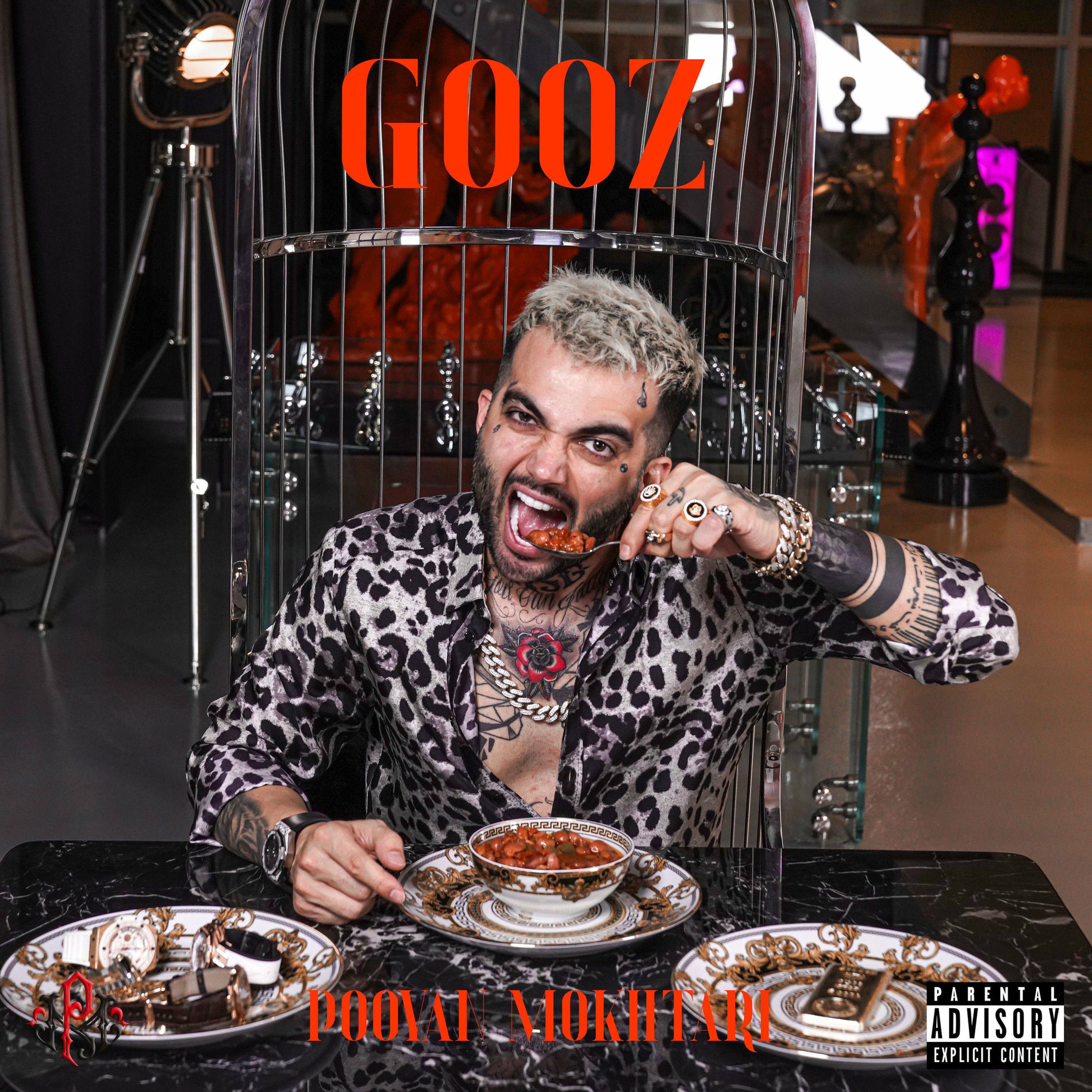 Album cover of Gooz