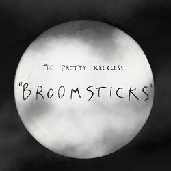 Cover of Broomsticks