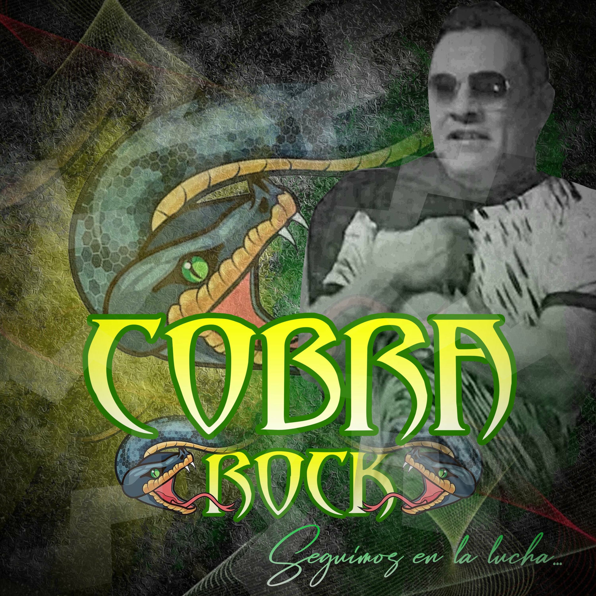 Album cover of SEGUIMOS EN LA LUCHA