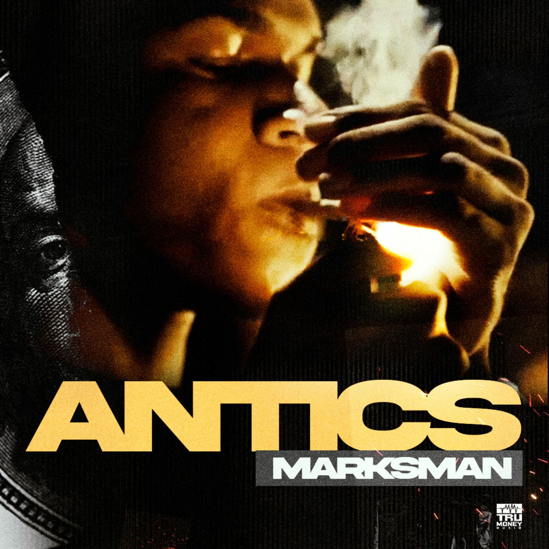 Album cover of Antics