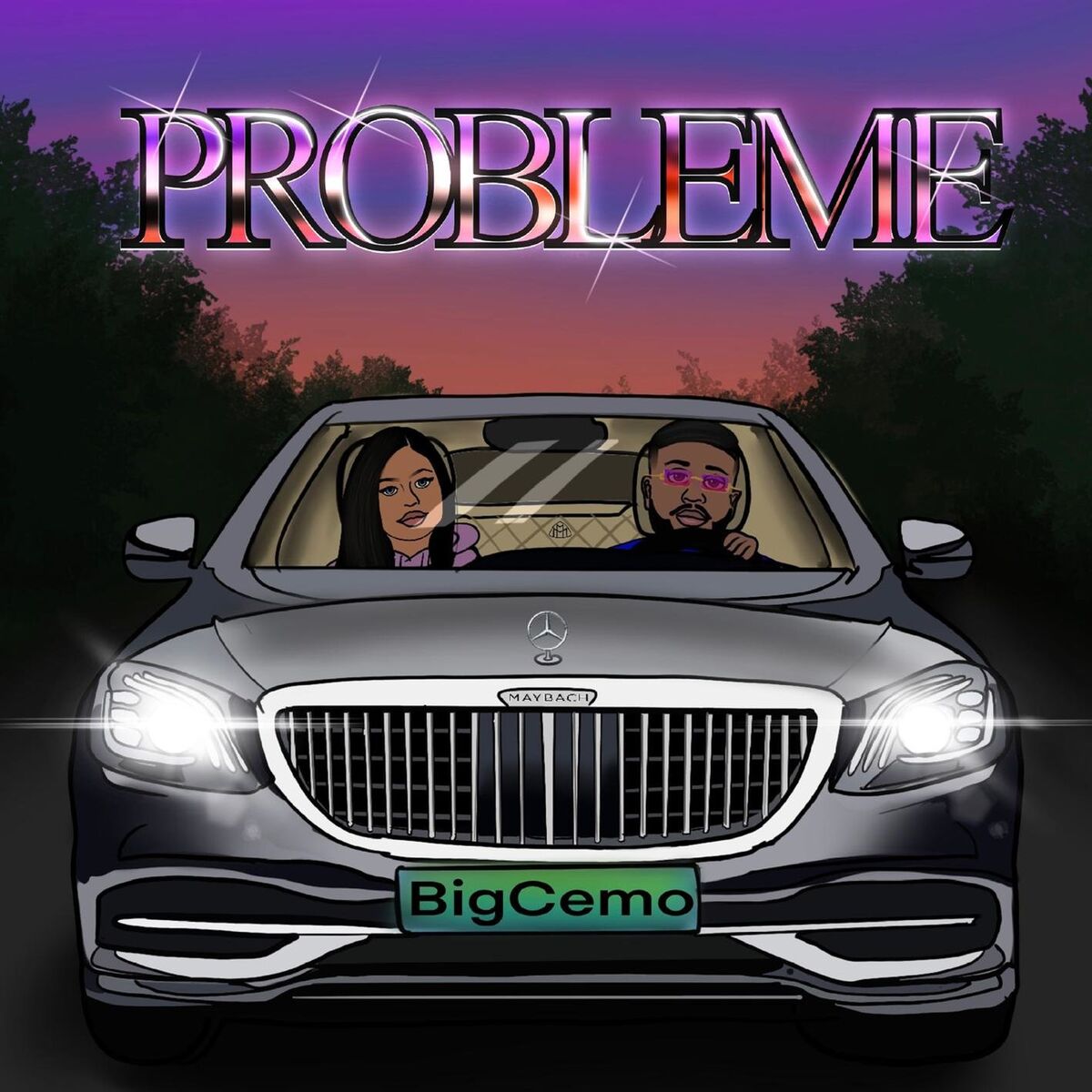 Album cover of Probleme