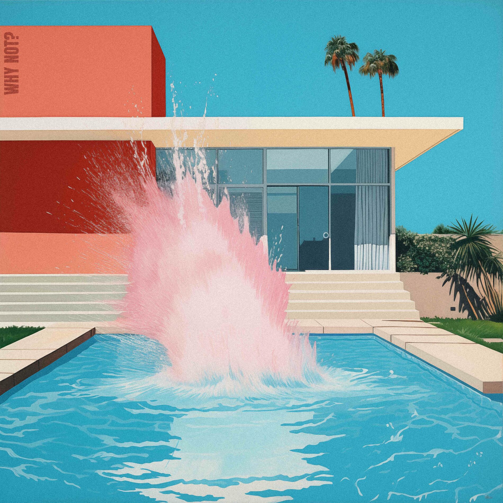 Album cover of Why Not?