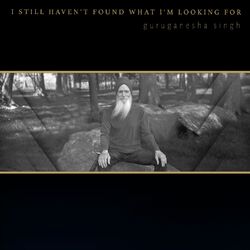 Cover of I Still Haven't Found What I'm Looking For
