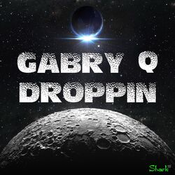 Cover of Droppin