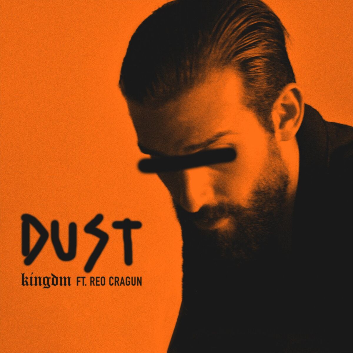 Album cover of Dust