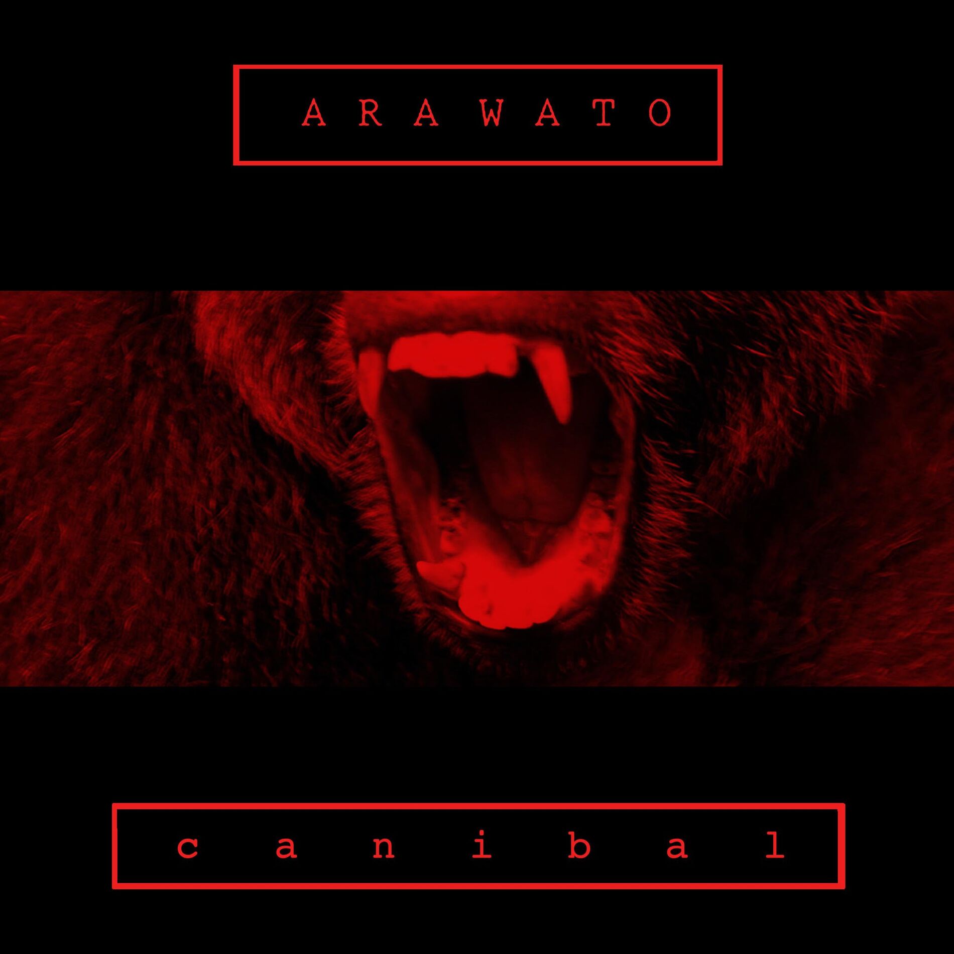Album cover of Canibal