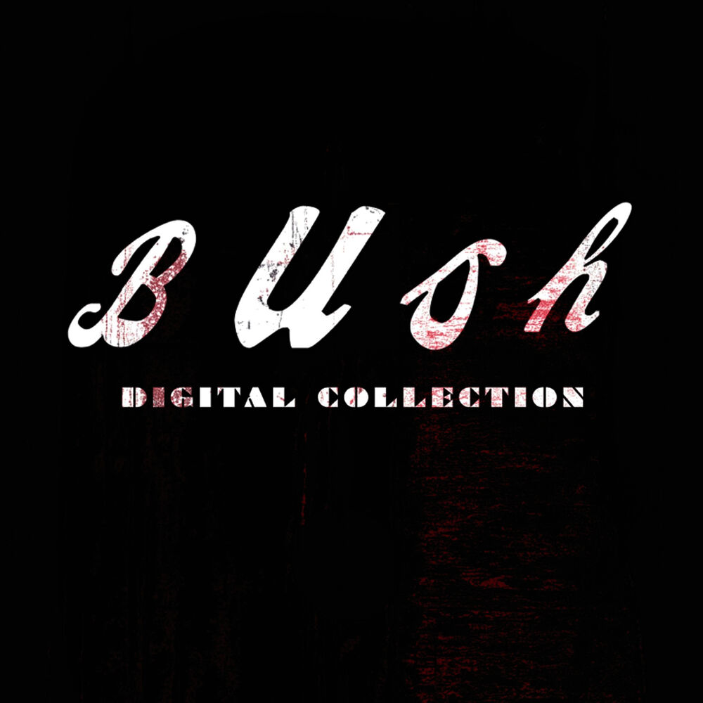 Picture of Bush Digital Collection