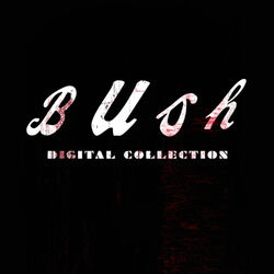 Cover of Bush Digital Collection