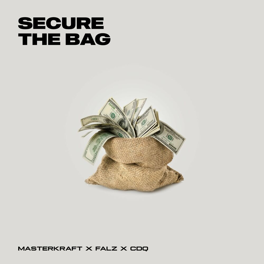 Picture of Secure the Bag