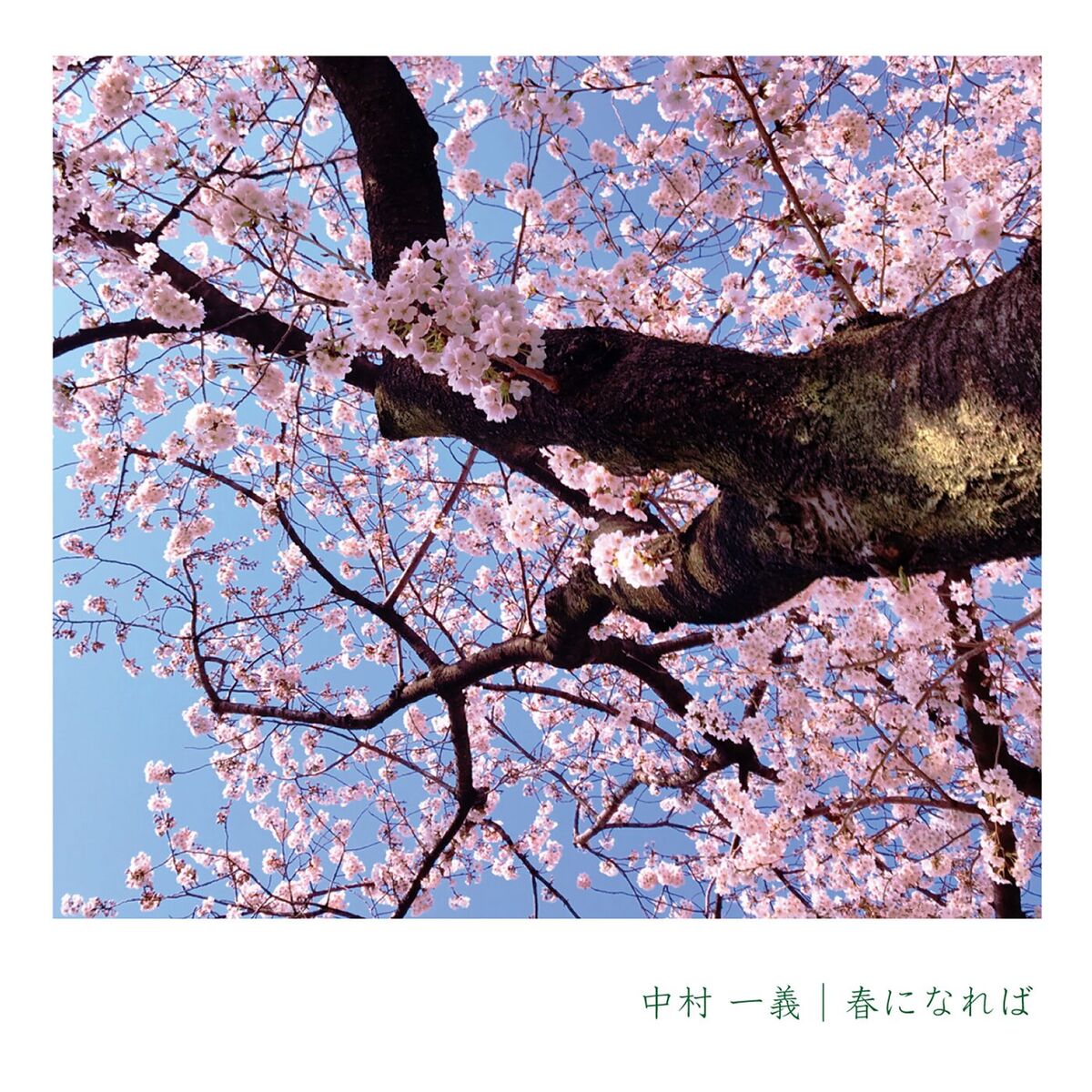 Album cover of When spring comes