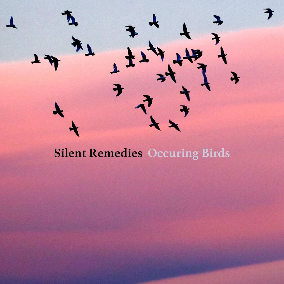 Album cover of Occuring Birds