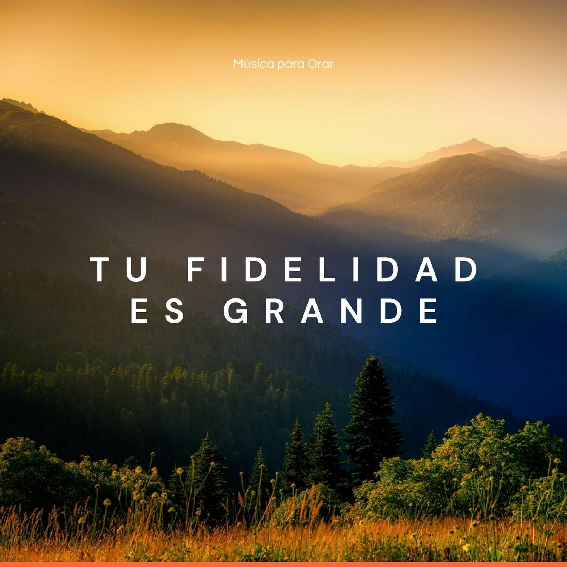 Album cover of Tu Fidelidad es Grande