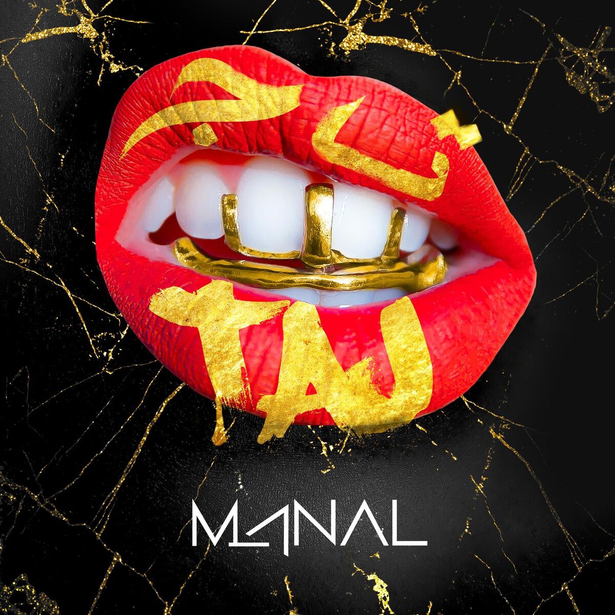 Album cover of Taj