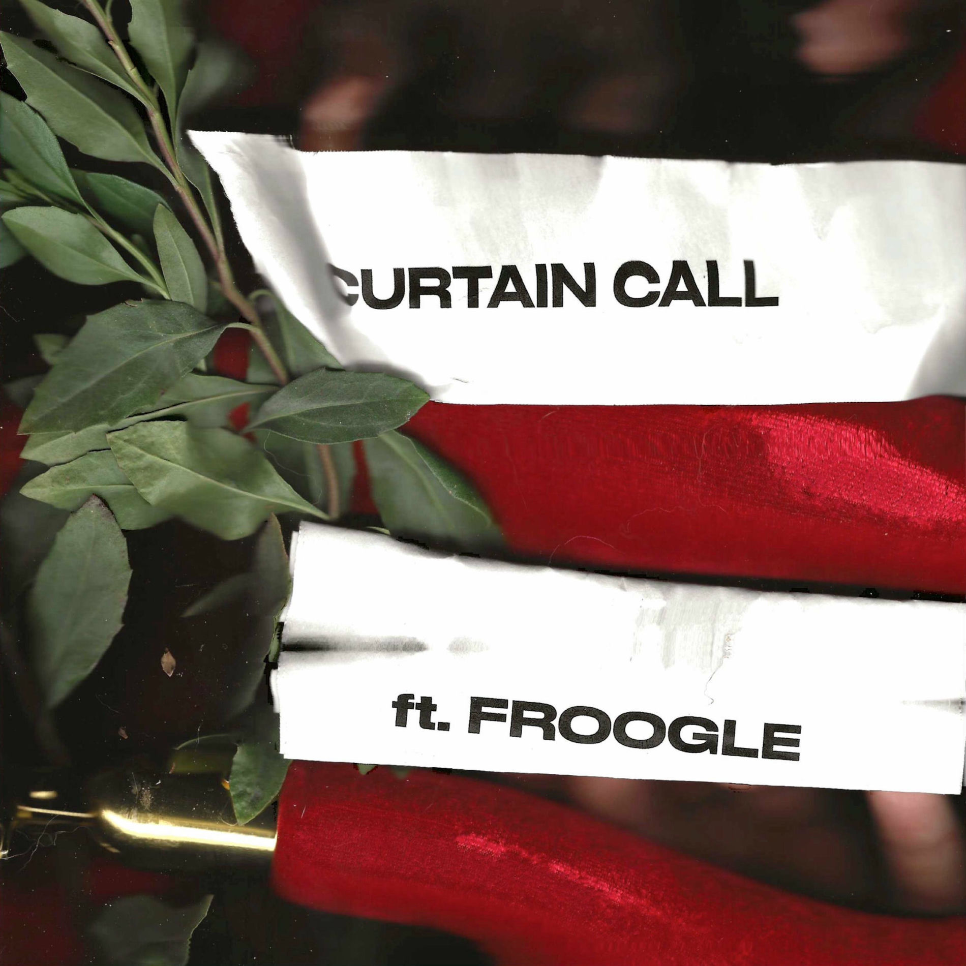 Album cover of Curtain Call (feat. Froogle)