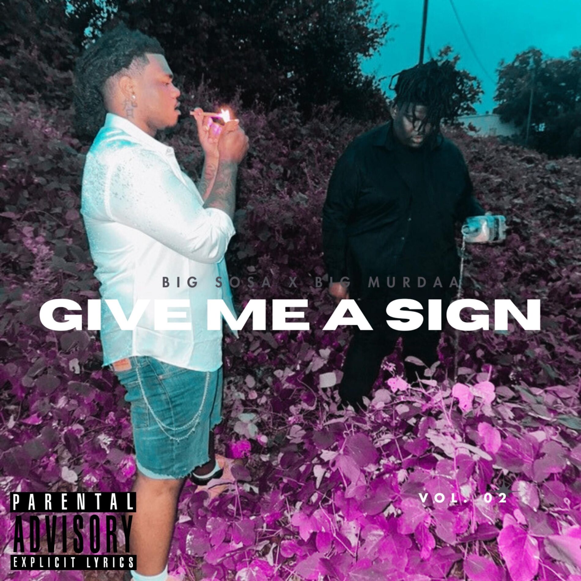 Album cover of Give Me A Sign