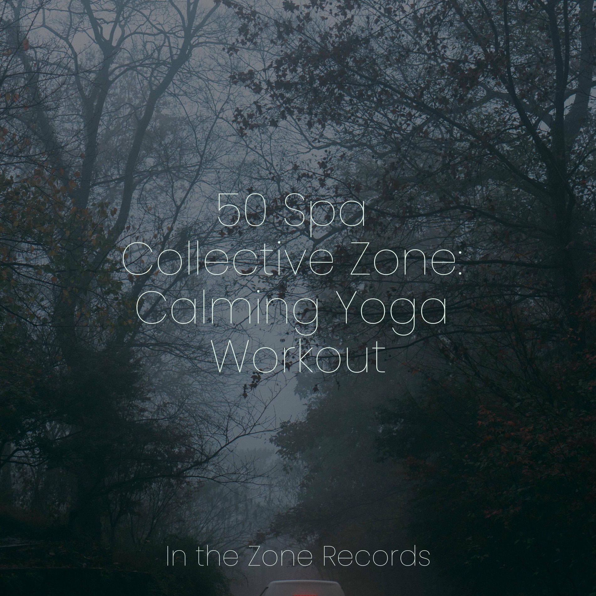 Album cover of 50 Spa Collective Zone: Calming Yoga Workout