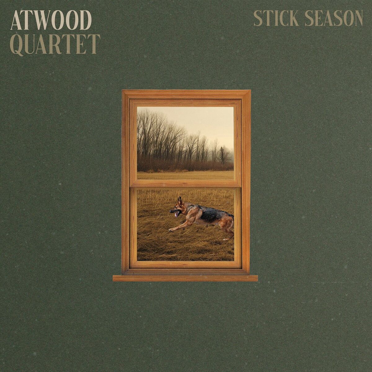 Album cover of Stick Season