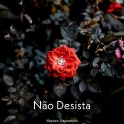 Cover of Não Desista