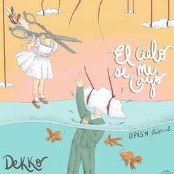 Cover of El Cielo Se Me Cayó