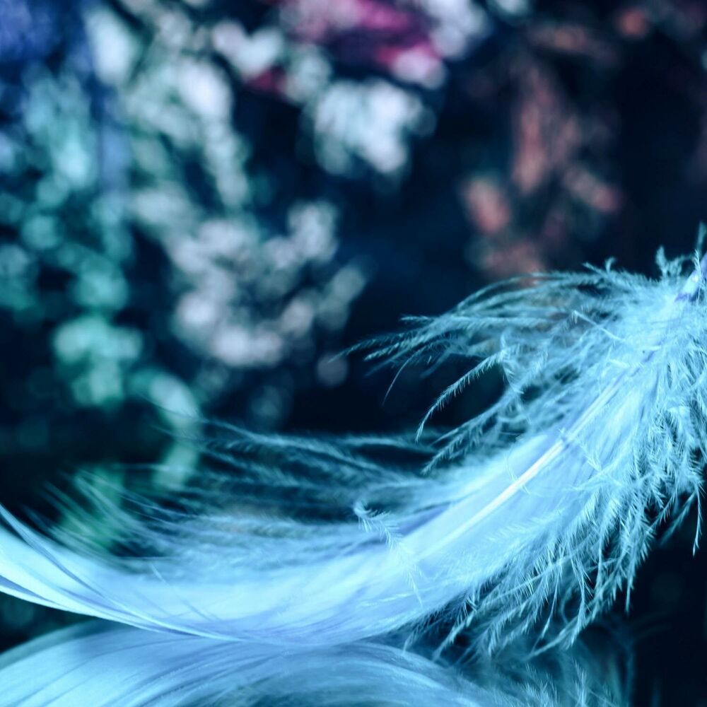 Picture of Angelic Reiki Frequencies 1111 + 999, Celestial Sleep Music, Embrace Pure Light and Unconditional Love, Heal and Renew