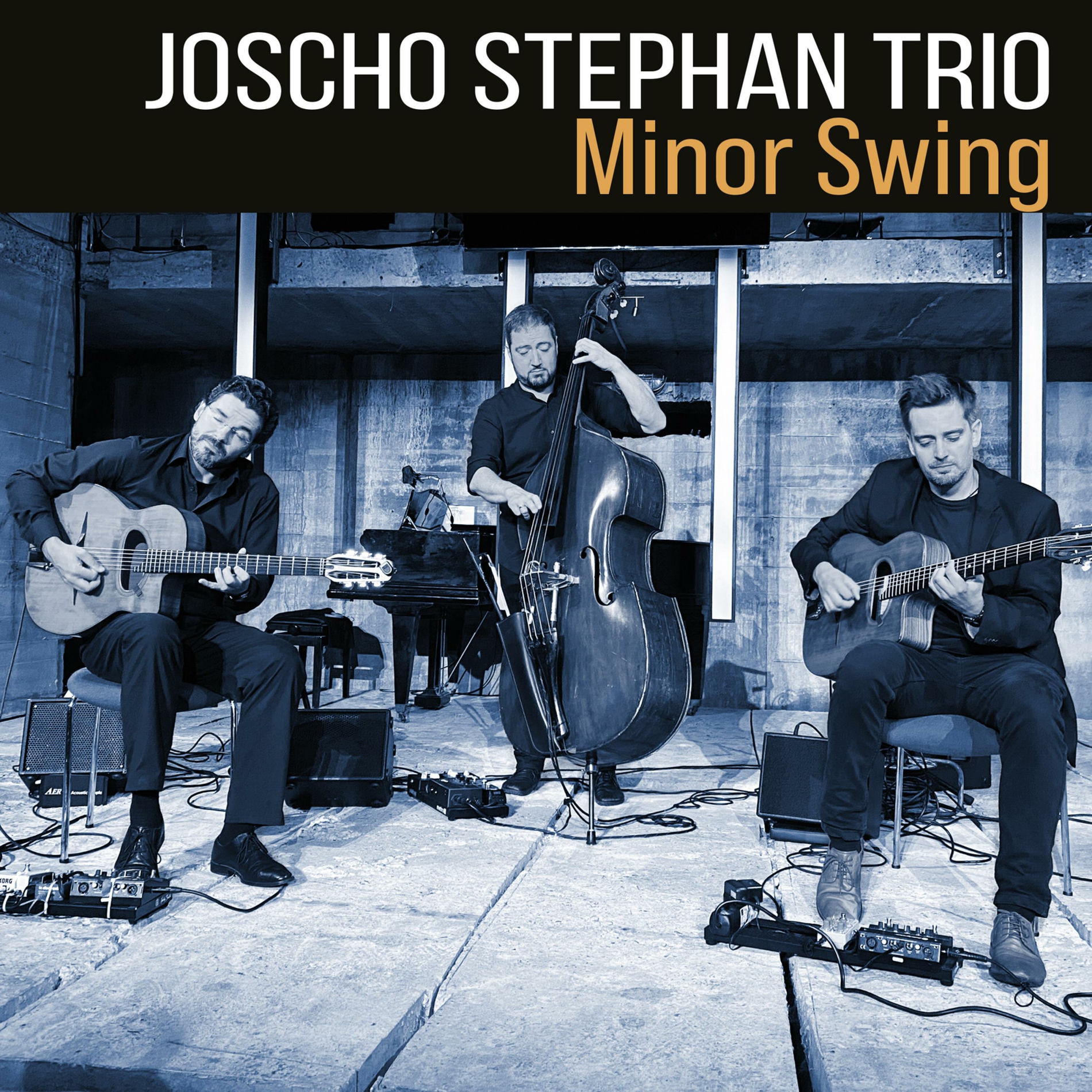 Album cover of Minor Swing (feat. Sven Jungbeck & Volker Kamp)