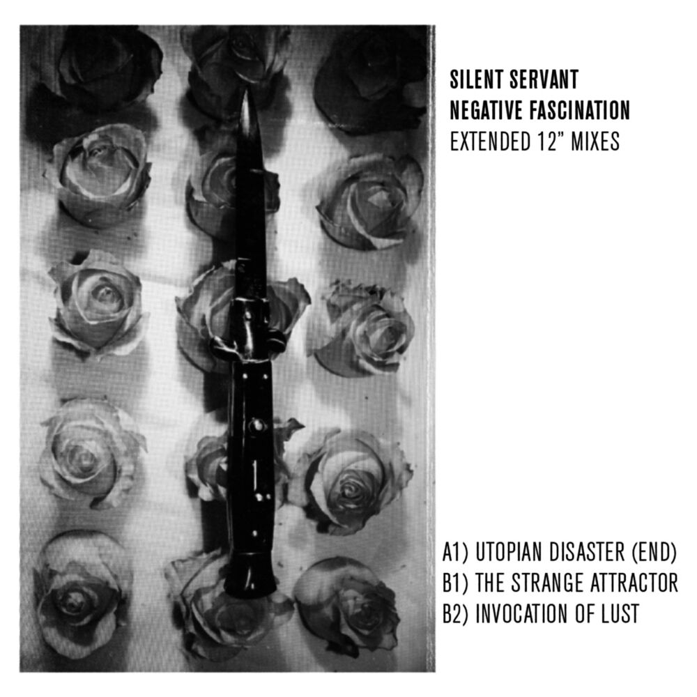 Picture of Negative Fascination (Extended 12" Mixes)