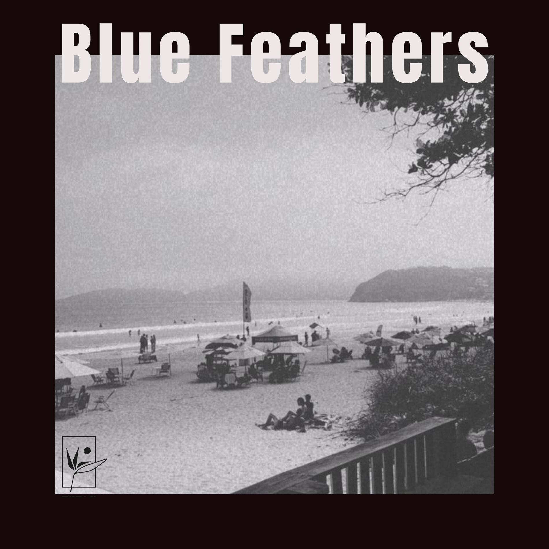 Album cover of Blue Feathers