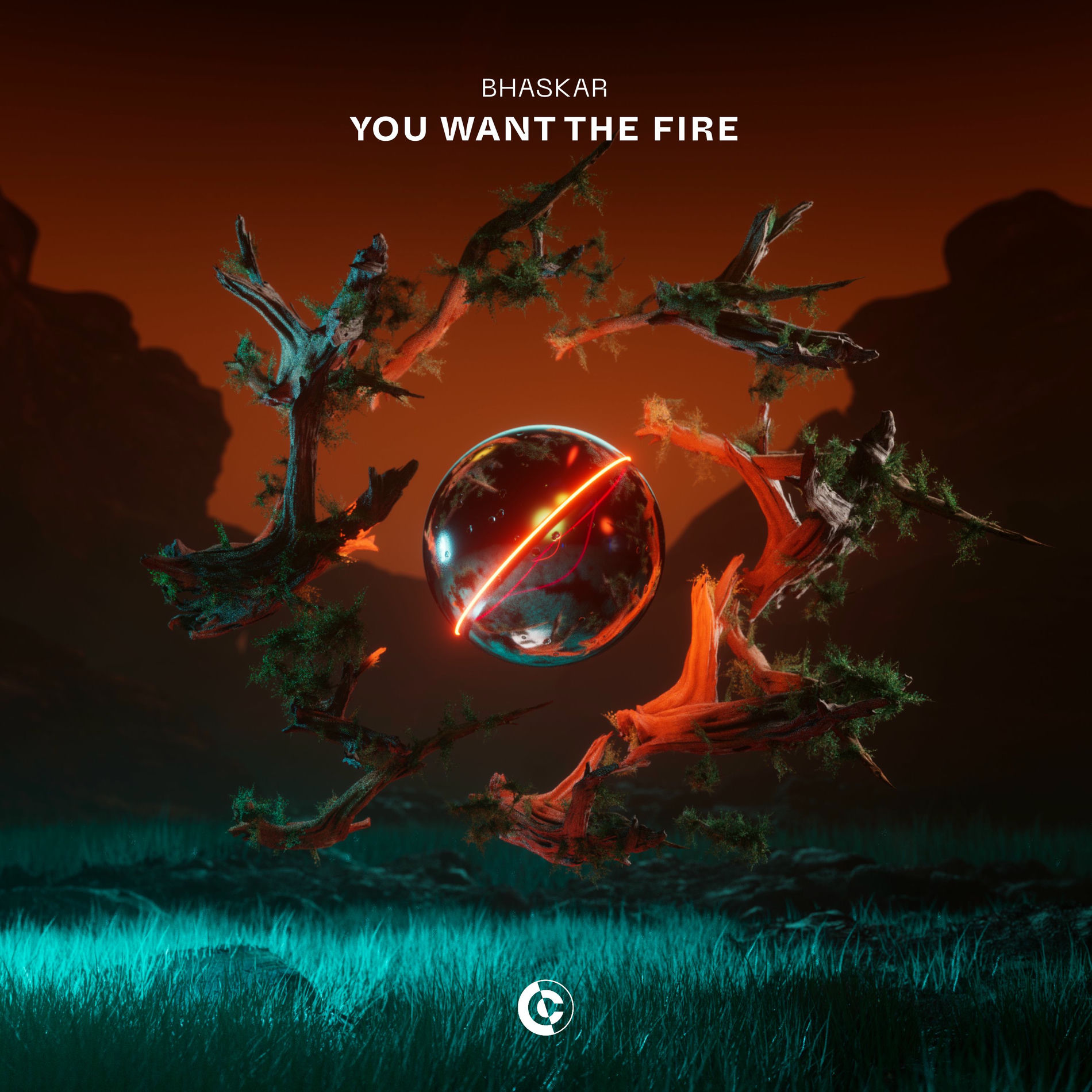 Album cover of You Want The Fire