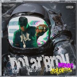 Cover of Nenas y maliantes