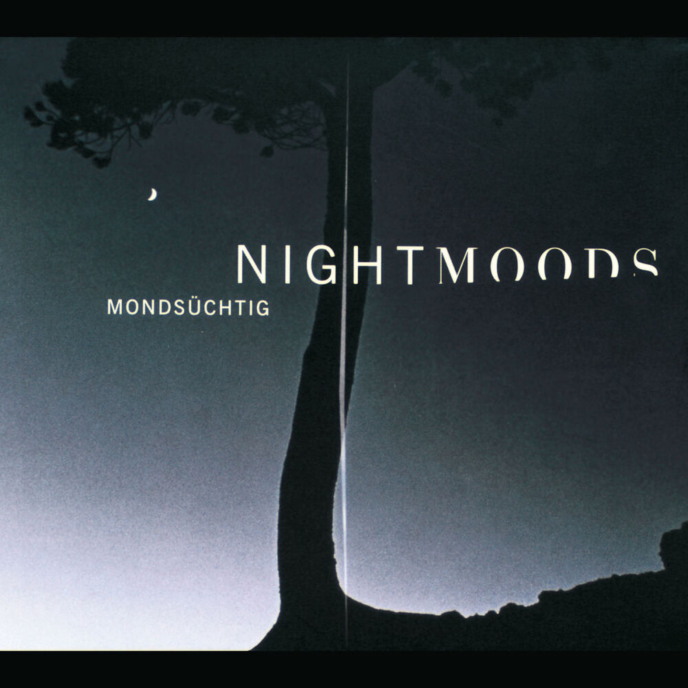 Picture of Beethoven... Moonlight