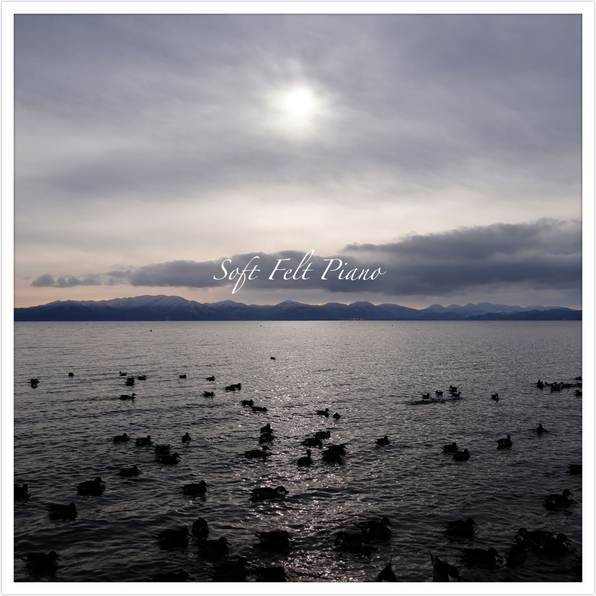 Album cover of Soft Felt Piano