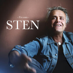 Cover of Ein Som