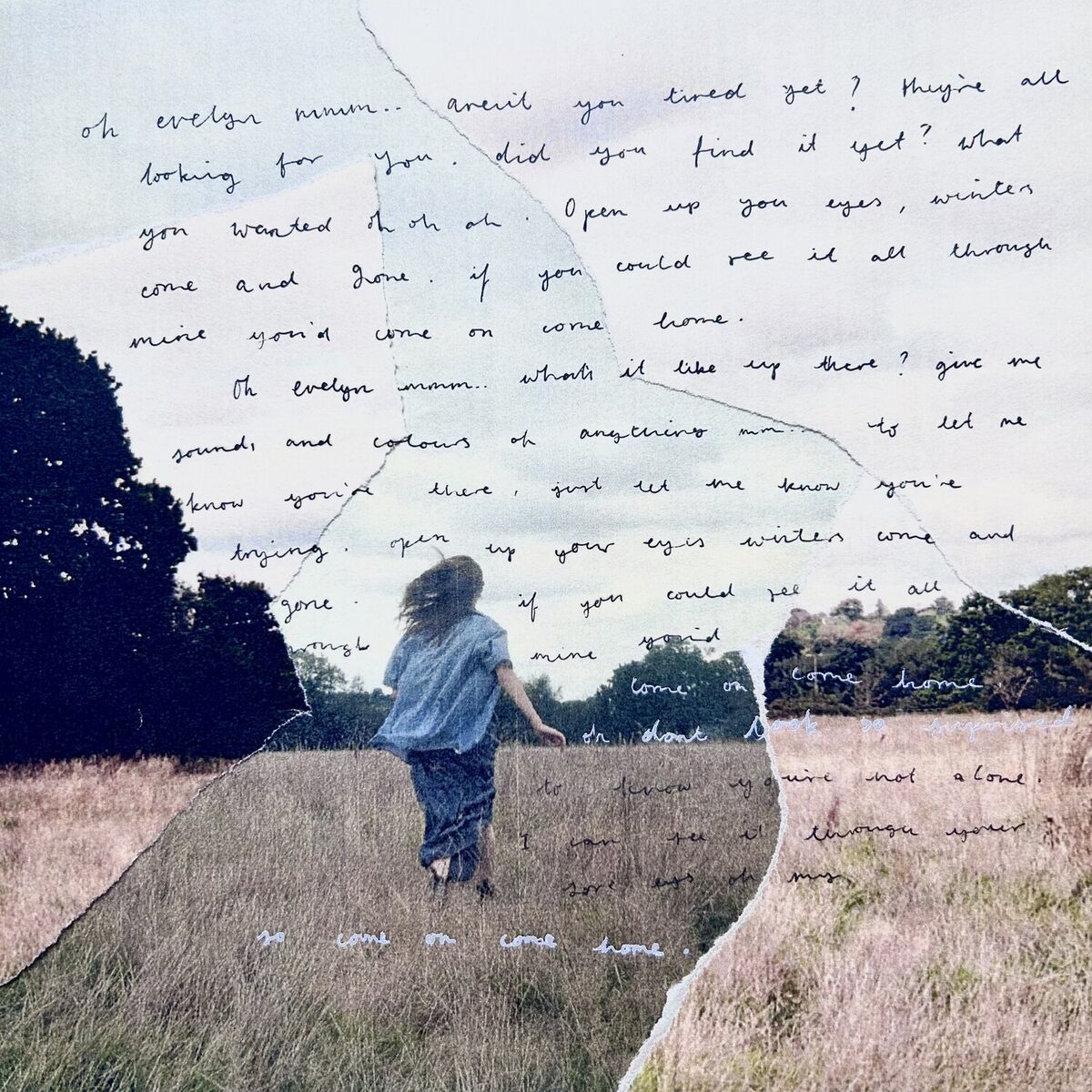 Album cover of evelyn