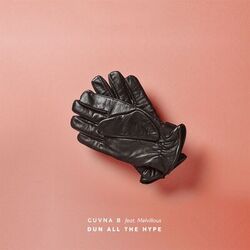 Cover of Dun All the Hype
