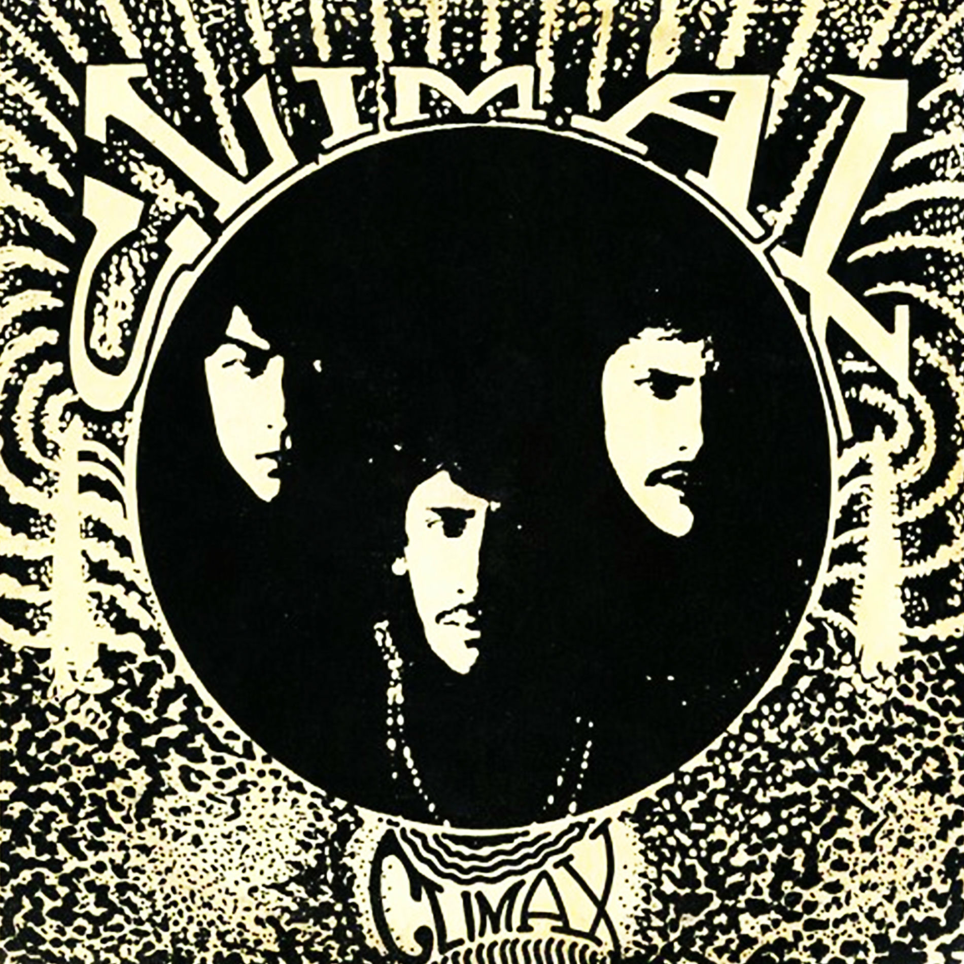 Album cover of Nacido para Ser Salvaje Ii