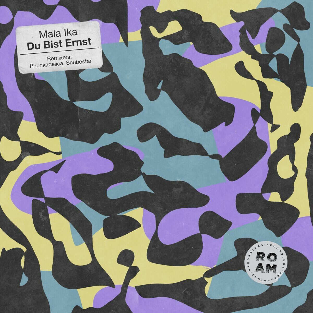 Album cover of Du Bist Ernst