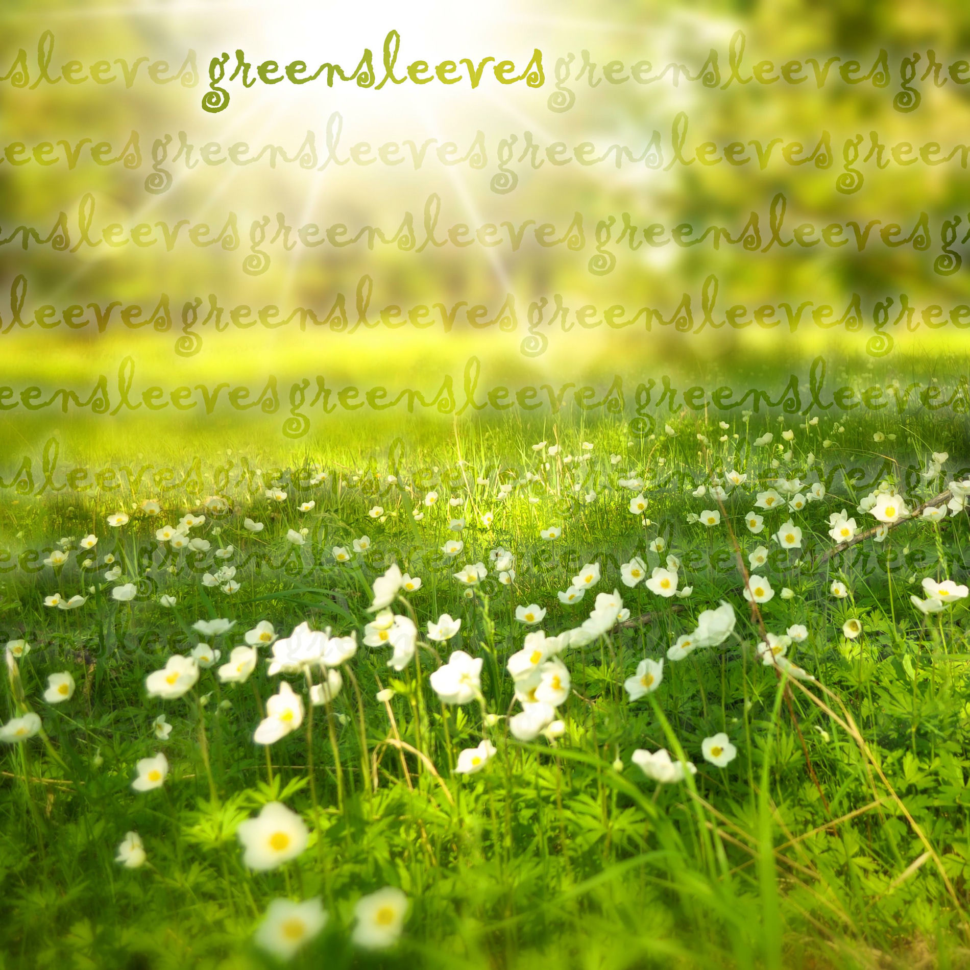 Album cover of Greensleeves