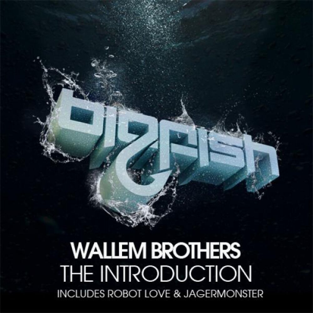 Picture of The Introduction