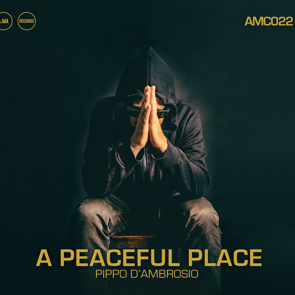 Album artwork for My Path by David Place