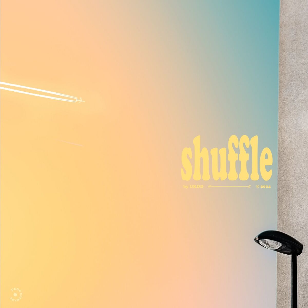 Album cover of shuffle