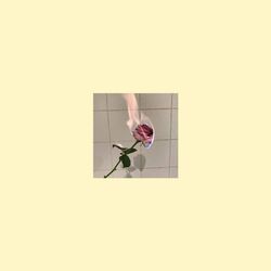 Cover of Love Wounds