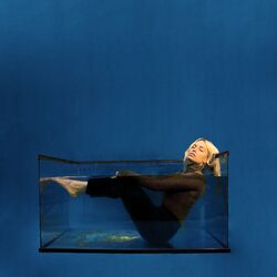 Cover of Save Myself