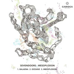 Cover of Mesoplodon