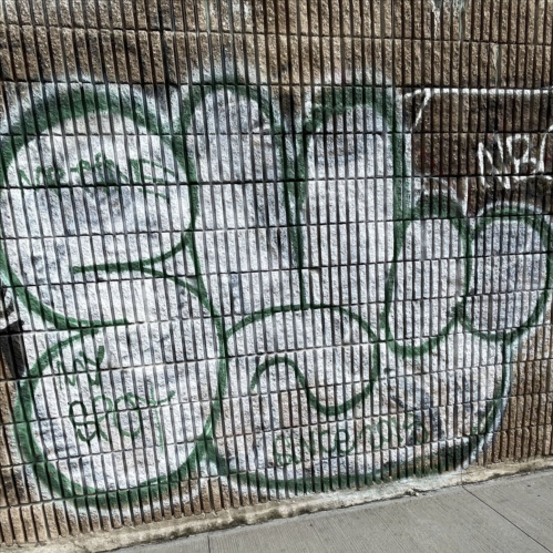 Album cover of PSA