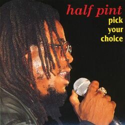 Cover of Pick Your Choice